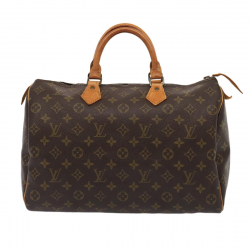 Louis Vuitton Speedy 35