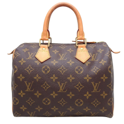 Louis Vuitton Speedy 25