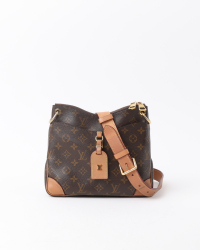 Louis Vuitton Monogram Odeon NM PM Bag