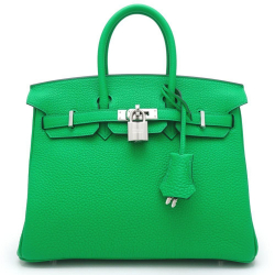 Hermès Birkin 25