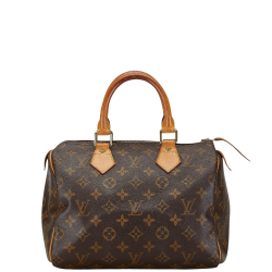 Louis Vuitton Speedy 25