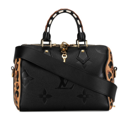 Louis Vuitton Speedy bandoulière 25