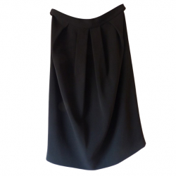 Max Studio skirt