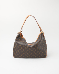 Louis Vuitton Monogram Delightful PM Bag