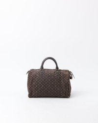 Louis Vuitton Speedy 30 Mini Lin Bag