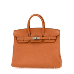 Hermès Birkin 25