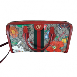 Gucci Sac Gucci Ophidia GG Flora Trunk