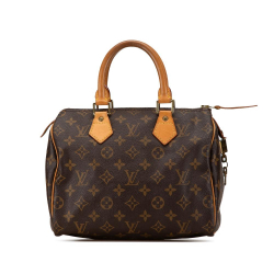 Louis Vuitton B Louis Vuitton Brown Monogram Canvas Canvas Monogram Speedy 25 France