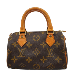 Louis Vuitton Mini speedy