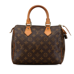 Louis Vuitton B Louis Vuitton Brown Monogram Canvas Canvas Monogram Speedy 25 France