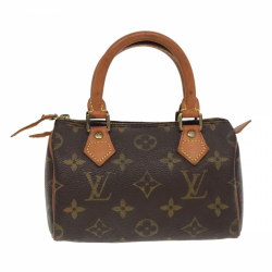 Louis Vuitton Mini speedy