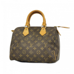 Louis Vuitton Speedy