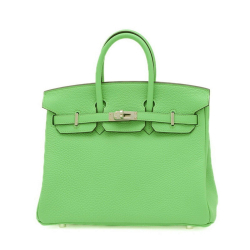 Hermès Birkin 25