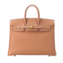 Hermès Birkin 25