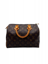 Louis Vuitton Speedy 25