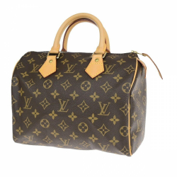 Louis Vuitton Speedy 25