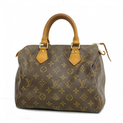 Louis Vuitton Speedy 25