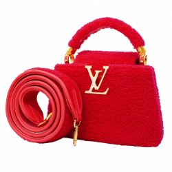 Louis Vuitton Capucines mini