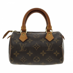 Louis Vuitton Mini speedy