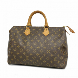 Louis Vuitton Speedy 35