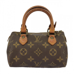 Louis Vuitton Mini speedy