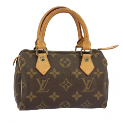 Louis Vuitton Mini speedy