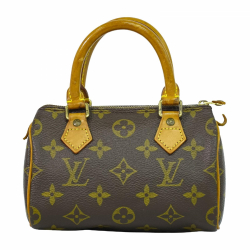 Louis Vuitton Mini speedy