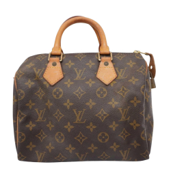 Louis Vuitton Speedy 25