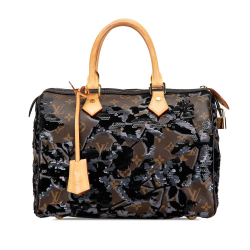 Louis Vuitton B Louis Vuitton Brown Monogram Canvas Canvas Monogram Fleur De Jais Sequins Speedy 30 France