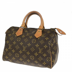 Louis Vuitton Speedy 25