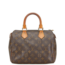 Louis Vuitton Speedy 25