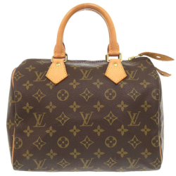 Louis Vuitton Speedy 25