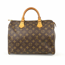 Louis Vuitton Speedy Monogram 30