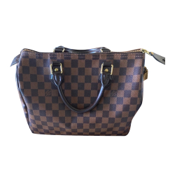 Louis Vuitton speedy 30 damier ebene