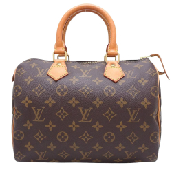 Louis Vuitton Speedy 25