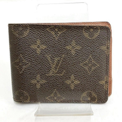 Louis Vuitton Multiple