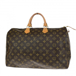 Louis Vuitton Speedy 35