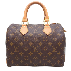 Louis Vuitton Speedy 25