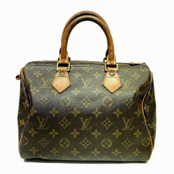 Louis Vuitton Speedy 25