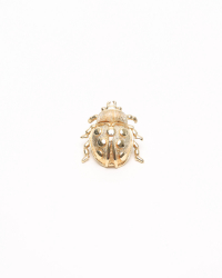 Christian Dior Beetle Brooch