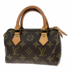 Louis Vuitton Mini speedy