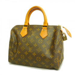 Louis Vuitton Speedy 25