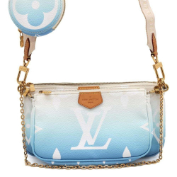 Louis Vuitton Multi Pochette Accessoires