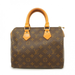 Louis Vuitton Speedy 25