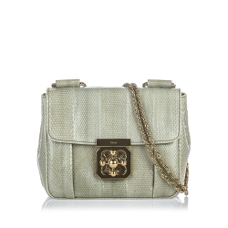 Chloe on sale elsie crossbody