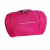 Samsonite Vanity Case