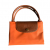 Longchamp Pliage