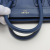 Celine Luggage Nano Shopper Leather Blue