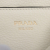 Prada Phenix Shoulder Bag White Leather