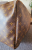 Louis Vuitton Sac de week-end Keepall Monogram